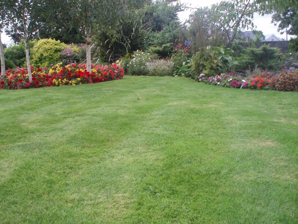 Rosdarrig Bed & Breakfast Boyle Dış mekan fotoğraf