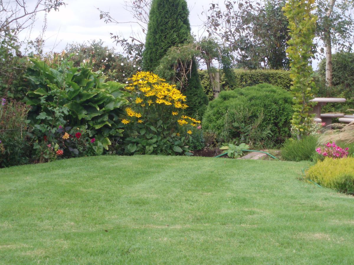 Rosdarrig Bed & Breakfast Boyle Dış mekan fotoğraf